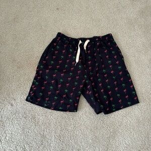 Men Shorts Large Blue
